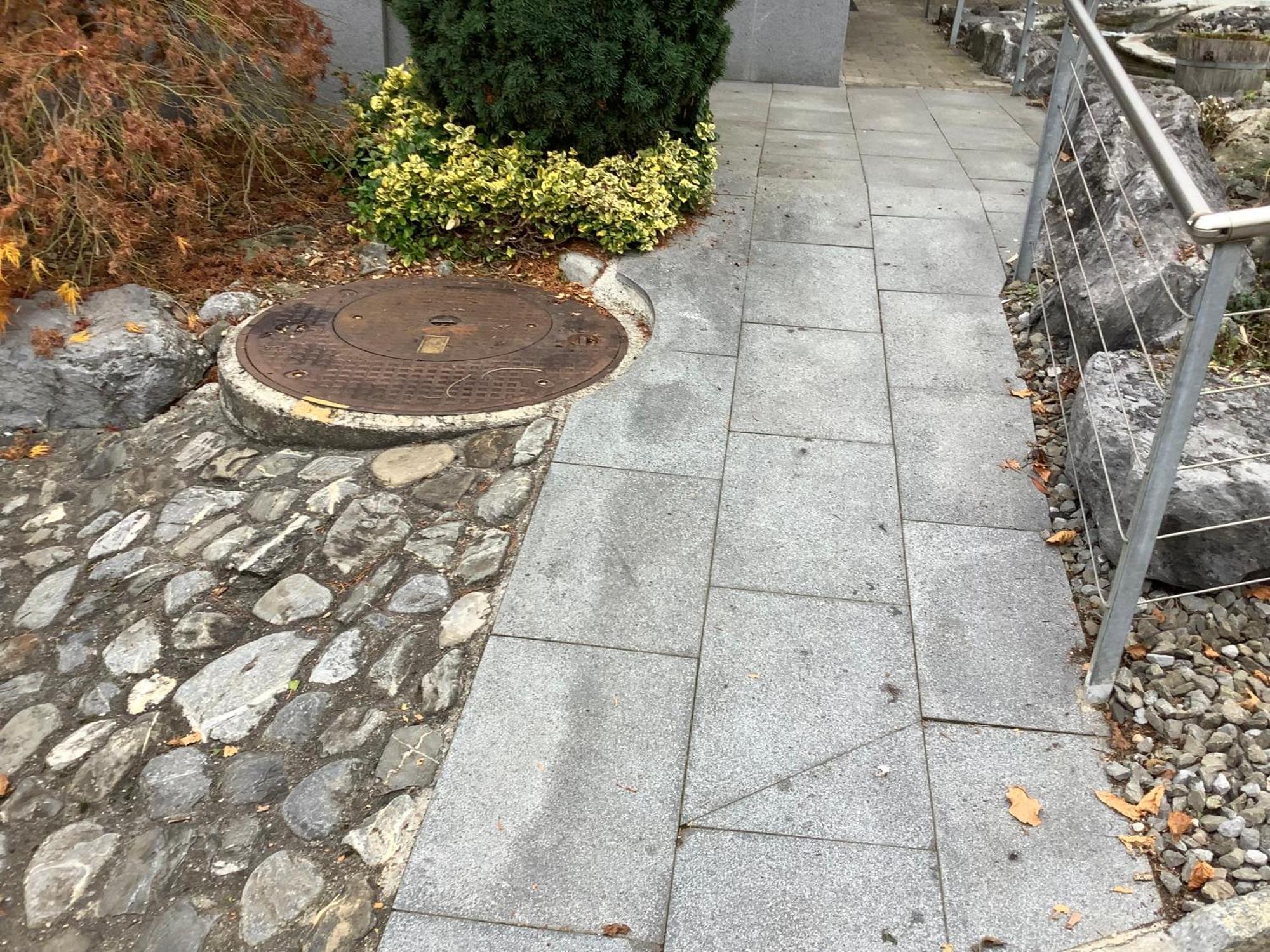 Chambre Spacieuse Et Confortable Avec Ecran Plat Oetwil an Der Limmat المظهر الخارجي الصورة